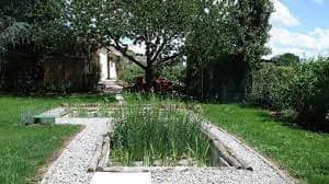 Pose filtre plante NatureoPure